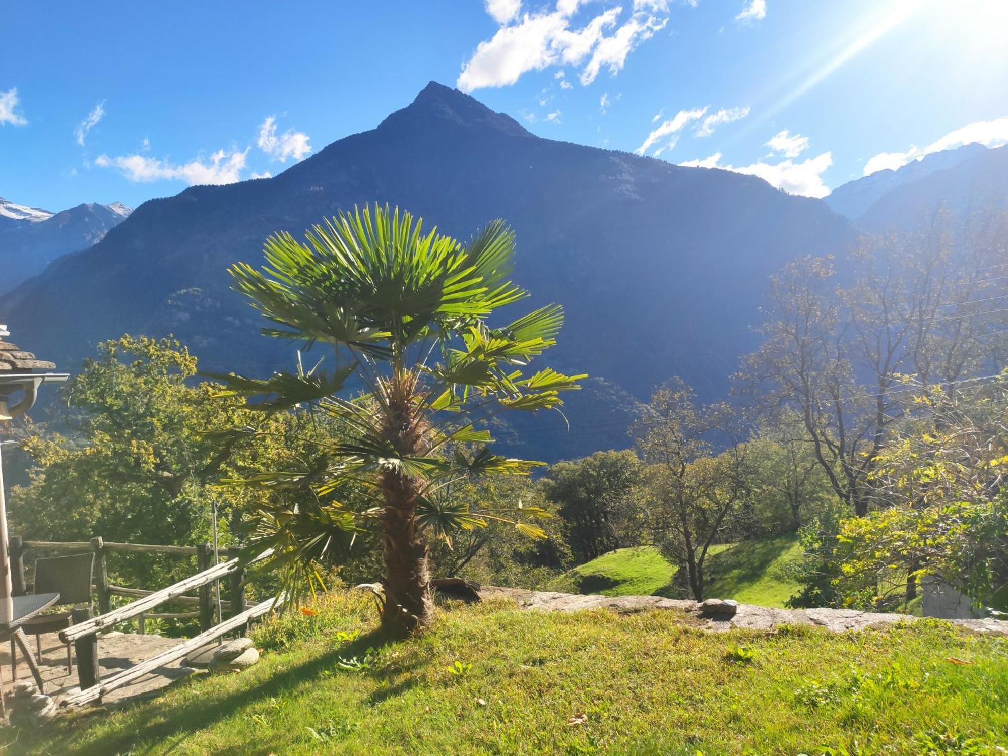 فيلا Oasis Di Riposa Semione المظهر الخارجي الصورة